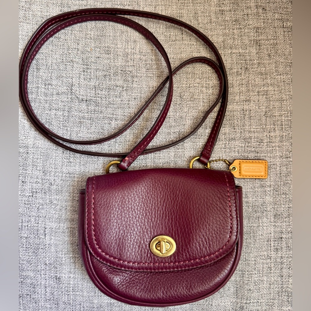Coach Park Mini Leather Crossbody Bag